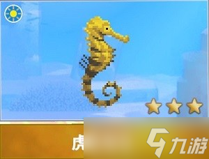 潜水员戴夫海马图鉴有哪些 详细图鉴攻略分享