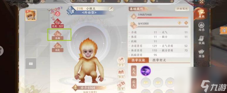 天龙八部2飞龙在天宝宝性格怎么选择 