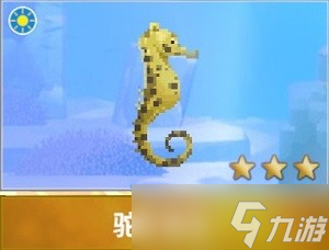 潜水员戴夫海马图鉴有哪些 详细图鉴攻略分享