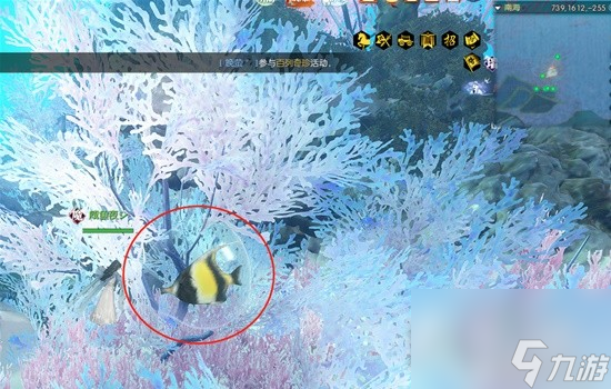 逆水寒老兵服踏浪听潮南海探秘8天攻略大全-逆水寒老兵服踏浪听潮南海探秘8天流程汇总