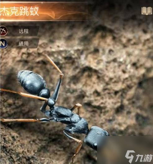 小小蚁国运输蚁怎么玩？
