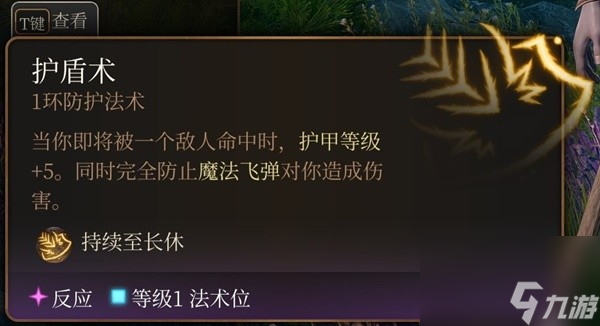 《博德之门3》实用一环法术推荐与效果一览