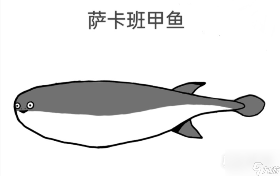 萨卡班甲鱼介绍