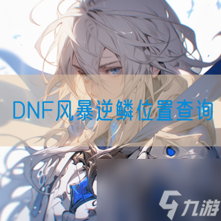 DNF风暴逆鳞在哪里查询