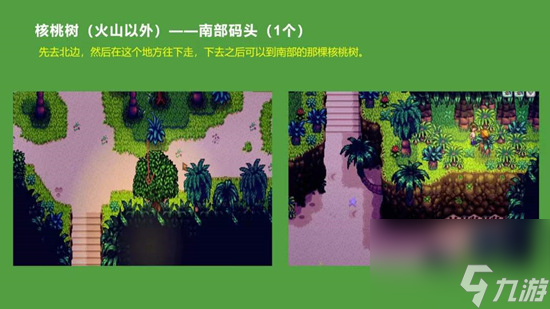 星露谷物语金色核桃全部位置