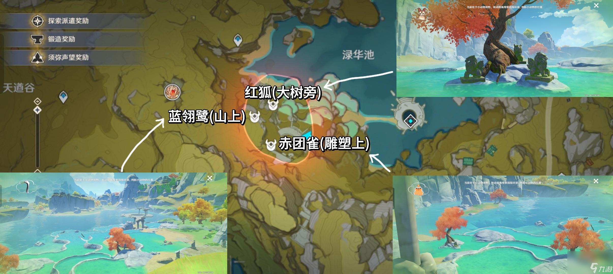 原神湖畔踱步間發(fā)現(xiàn)傳心同視第三天小動物位置一覽