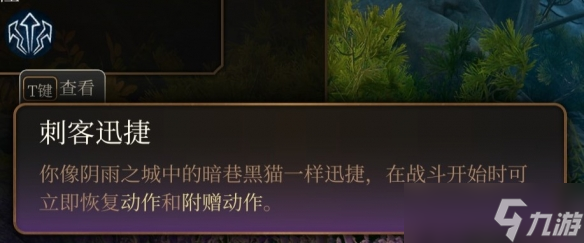 《博德之门3》游荡者副职业有几个？游荡者职业介绍