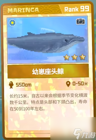 潜水员戴夫幼崽座头鲸抓捕攻略
