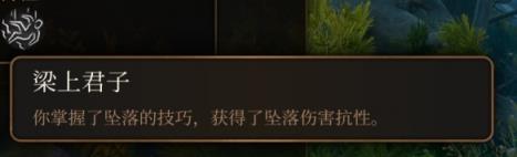 博德之門3游蕩者副職業(yè)有幾個？游蕩者職業(yè)介紹