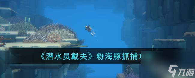 潜水员戴夫粉海豚抓捕攻略