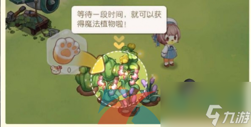 奧比島夢(mèng)想國度魔法植物獲取方法