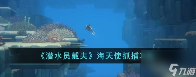 潜水员戴夫海天使怎么抓 海天使抓捕攻略