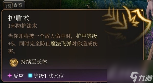 《博德之门3》实用一环法术推荐与效果一览