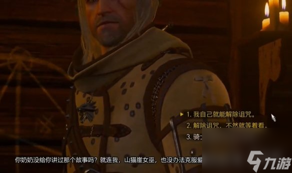 《巫师3：狂猎》骑士风云录接取方法