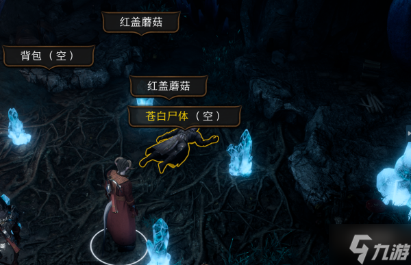 《博德之门3》人物高亮设置方法