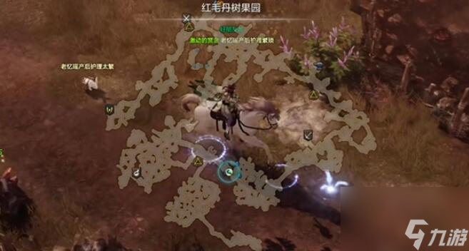 命运方舟红毛丹树果园的秘密
