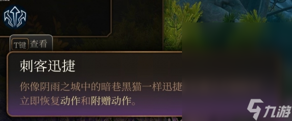 《博德之门3》游荡者副职业一览