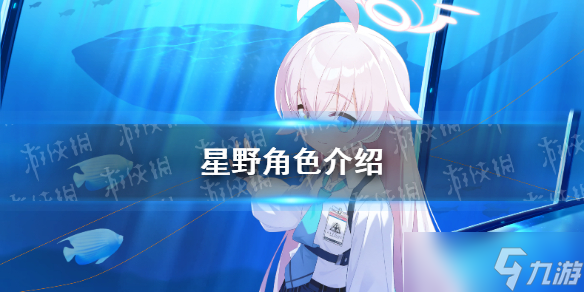 《蔚蓝档案》星野角色介绍