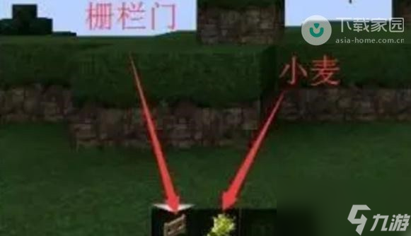 我的世界驯服山羊怎么驯