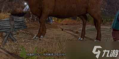 《博德之门3》动物谈话药水跟公牛对话小袋子获得方法一览