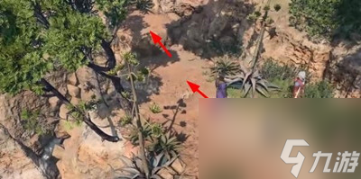 博德之门3虚假生命卷轴怎么获得 虚假生命卷轴获得方法介绍