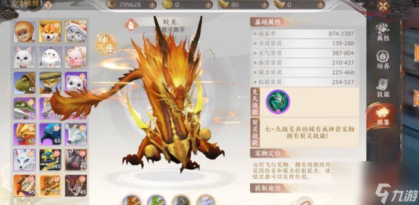 天龙八部2无尘输出是什么技能？