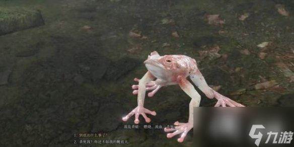 《博德之门3》全支线任务图文详解 支线任务攻略大全
