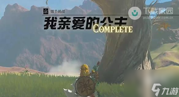 塞爾達(dá)傳說王國之淚我親愛的公主任務(wù)怎么做