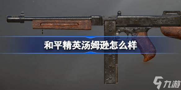 和平精英汤姆逊怎么样 和平精英汤姆逊数据介绍