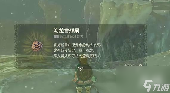 王国之泪利特村断桥怎么过去