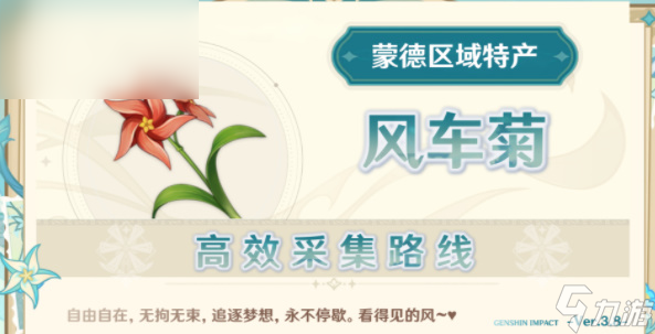 原神风车菊位置