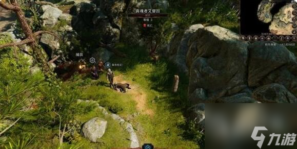 博德之门3找到德鲁伊任务怎么做