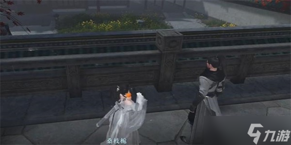 逆水寒手游退藏于密任务攻略
