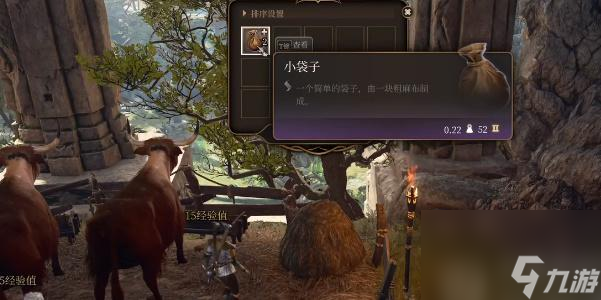 博德之门3动物谈话药水跟公牛对话小袋子获取攻略