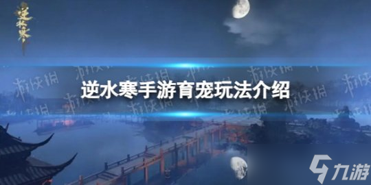 <a id='link_pop' class='keyword-tag' href='https://www.9game.cn/nishuihan1/'>逆水寒手游</a>育宠攻略 宠物养成玩法介绍