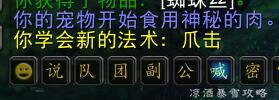 魔兽怀旧服宠物猎人最强阵容 猎人宠物的基础知识