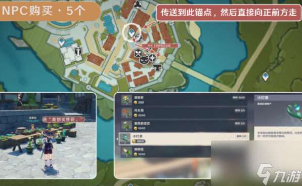 原神小灯草采集位置-原神小灯草在哪里买