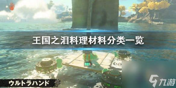 塞尔达传说王国之泪料理材料分类介绍-王国之泪有什么类别