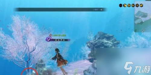 逆水寒手游南海探秘怎么玩 逆水寒手游南海探秘8天攻略