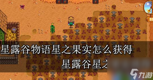 星露谷物语星之果实全收集攻略