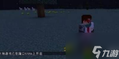 我的世界局域网怎么联机