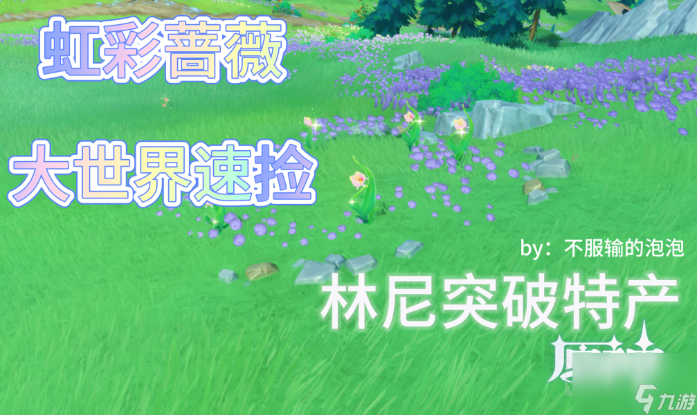 原神4.0枫丹林尼突破材料虹彩蔷薇速捡路线 虹彩蔷薇采集路线分享