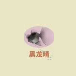 桃源深处有人家关六菲喜好物是什么