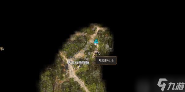 博德之门3伤口闭合护符如何获取