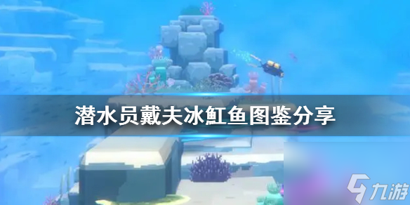 《潜水员戴夫》冰魟鱼图鉴分享 冰魟鱼怎样抓？