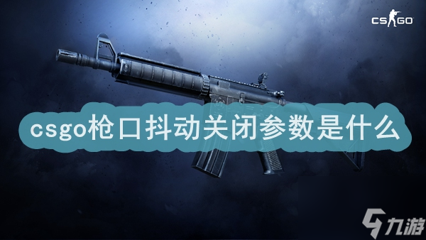 csgo槍口抖動關(guān)閉參數(shù)是什么