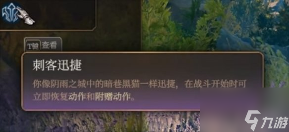 《博德之门3》刺客子职业介绍