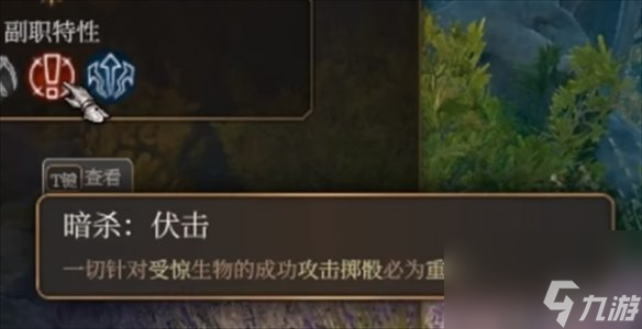 《博德之门3》刺客子职业介绍