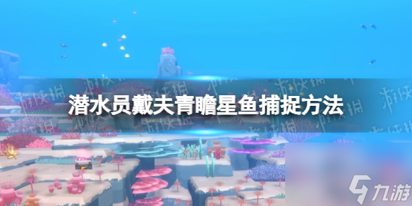 《潛水員戴夫》青瞻星魚怎樣抓？ 青瞻星魚捕捉辦法
