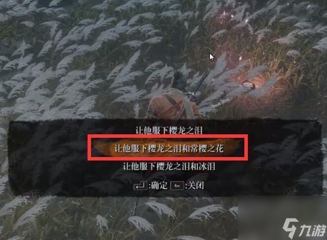 只狼：影逝二度中的四个结局分别是什么？